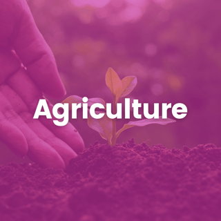 SECTOR - agriculture